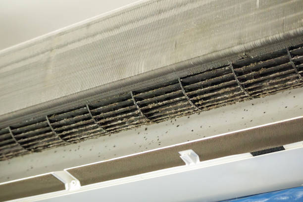 Best Air Vent Cleaning Services  in World Golf Village, FL